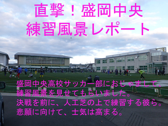P1010244_web.jpg